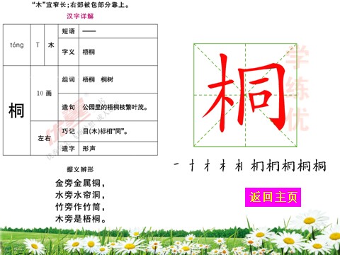 二年级上册语文（生字教学课件）识字2  树之歌第4页