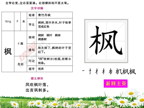 二年级上册语文（生字教学课件）识字2  树之歌第5页