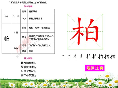 二年级上册语文（生字教学课件）识字2  树之歌第7页