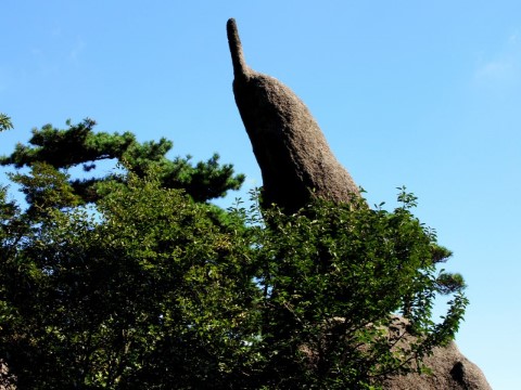 二年级上册语文（课堂教学课件1）黄山奇石第5页