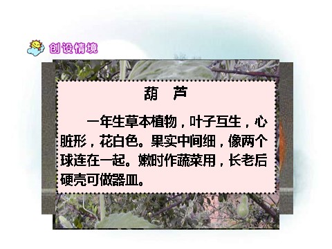 二年级上册语文（课堂教学课件4）我要的是葫芦第2页