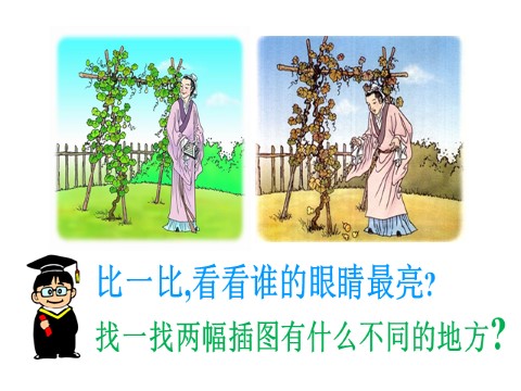 二年级上册语文（课堂教学课件1）我要的是葫芦第7页