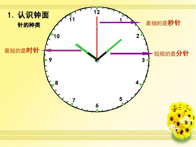 二年级上册数学（人教版）数学第七单元-《认识时间―认识几时几分》第4页