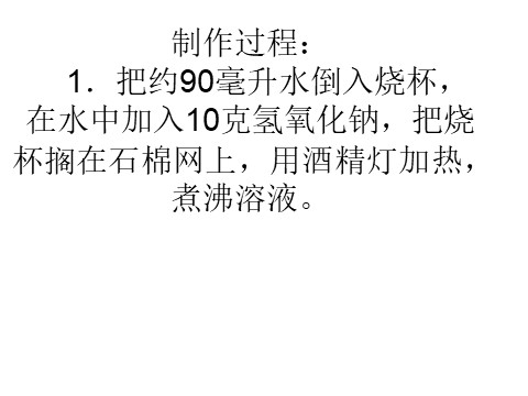 二年级下册美术叶脉书签的制作第3页