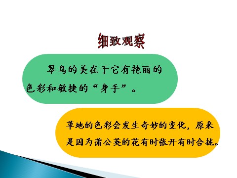 三年级上册语文习作例文第4页