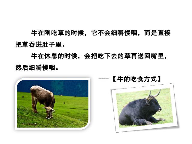 三年级上册语文新语文原创《第10课:在牛肚子里旅行》第8页