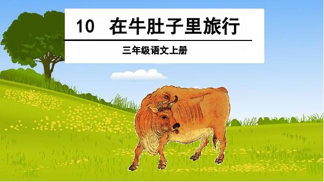 三年级上册语文语文《第10课:在牛肚子里旅行》第1页