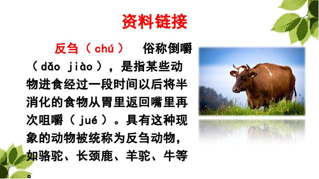 三年级上册语文语文《第10课:在牛肚子里旅行》第3页