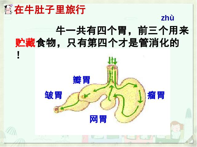 三年级上册语文语文《第10课:在牛肚子里旅行》第2页