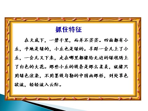 三年级上册语文习作：我们眼中的缤纷世界第5页