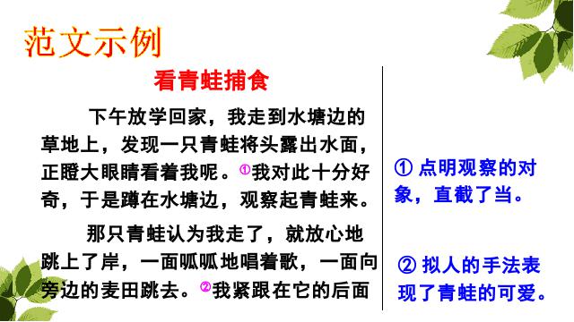 三年级上册语文语文《习作:我们眼中的缤纷世界》第7页