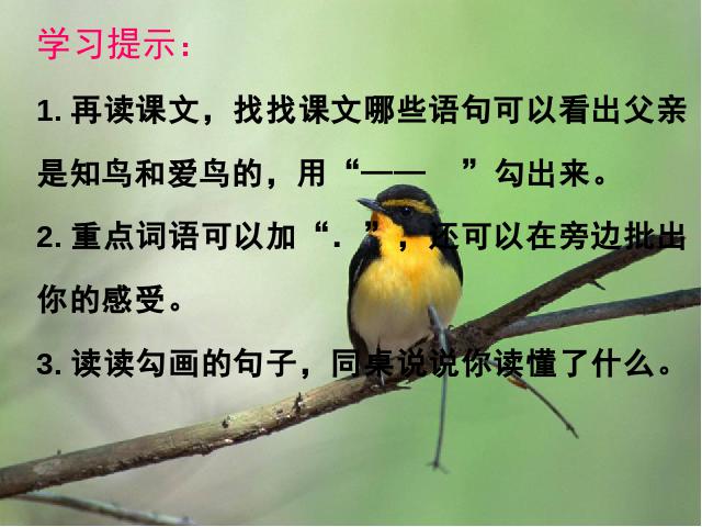 三年级上册语文语文《第22课:父亲、树林和鸟》第4页