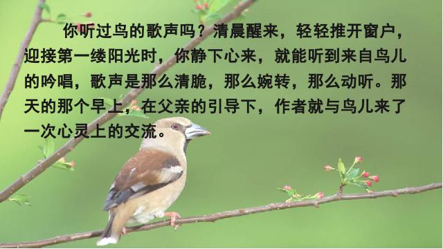 三年级上册语文语文《第22课:父亲、树林和鸟》第2页