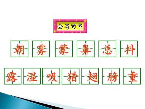 三年级上册语文22 父亲、树林和鸟第5页