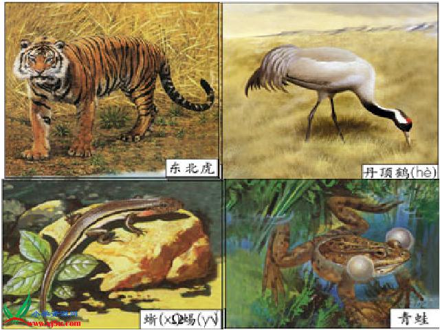 三年级上册数学（人教版）《三位数加三位数的连续进位加法》(数第4页