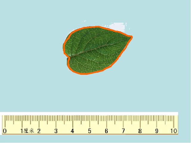 三年级上册数学（人教版）数学《周长的认识》第9页