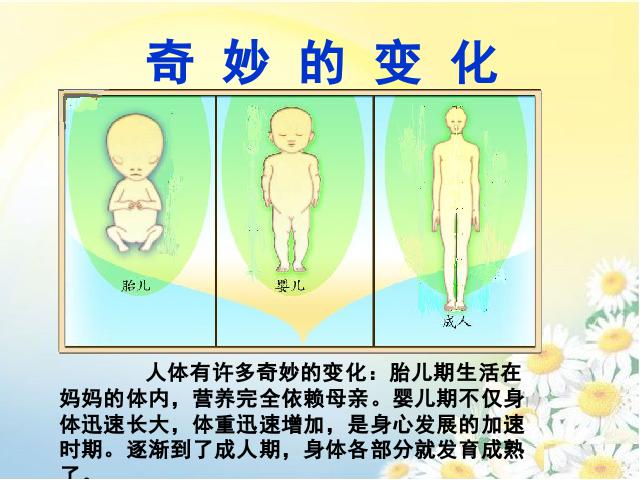 三年级上册数学（人教版）《分数的初步认识》(数学)第10页