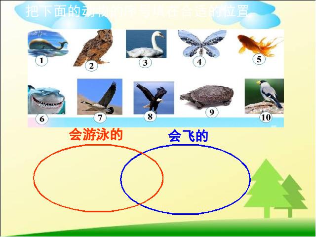 三年级上册数学（人教版）数学《数学广角:集合》（）第7页