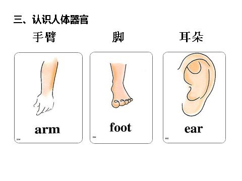 三年级上册英语(PEP版)【最全】小学常用英语单词图片大全完全版第10页