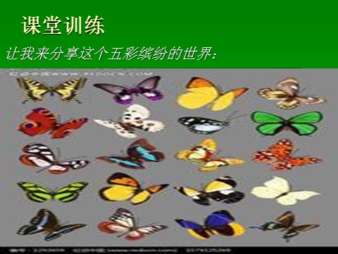 三年级上册英语(PEP版)colours 课件 (2)第10页