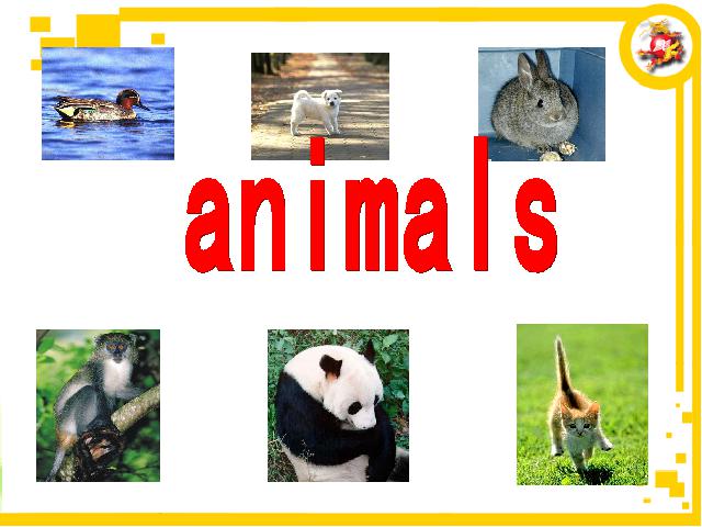 三年级上册英语(PEP版)PEP英语《We love animals第一课时》ppt原创课件（）第8页