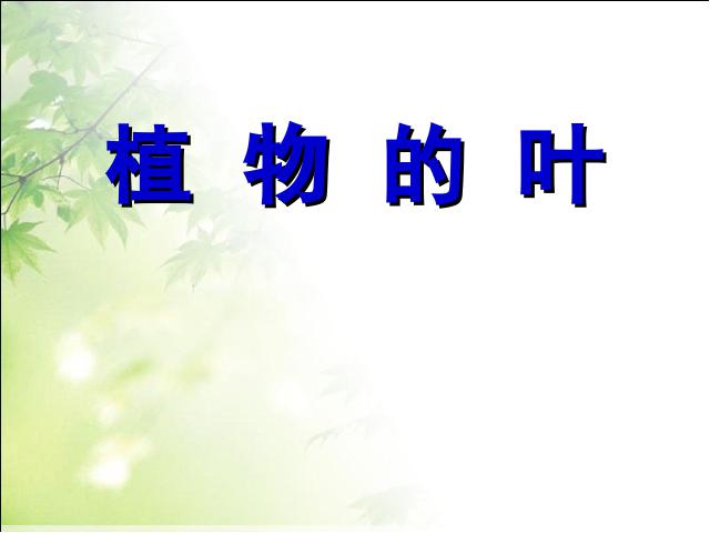 三年级上册科学科学第一单元“植物”《1.5植物的叶》（）第1页