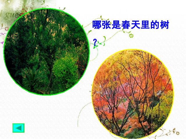 三年级上册科学科学《1.6植物发生了什么变化》第2页