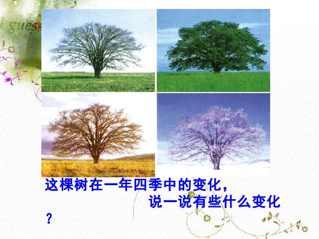 三年级上册科学科学《1.6植物发生了什么变化》第7页