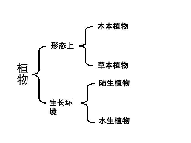 三年级上册科学科学《1.7植物有哪些相同点》第9页