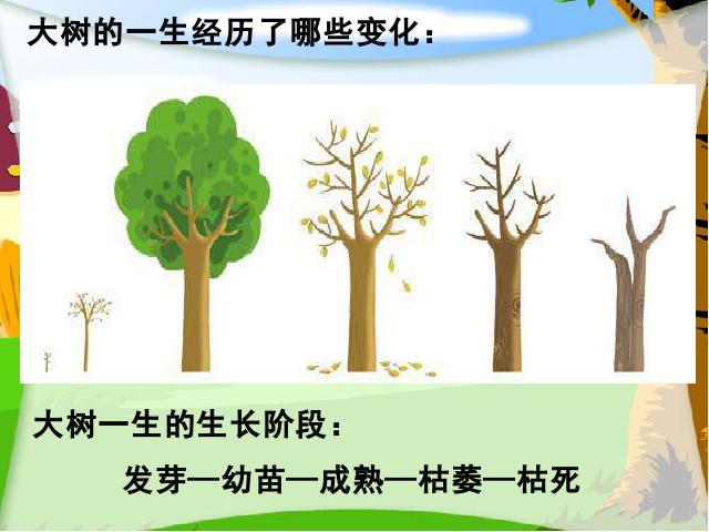 三年级上册科学科学《1.7植物有哪些相同点》(教科版)第6页