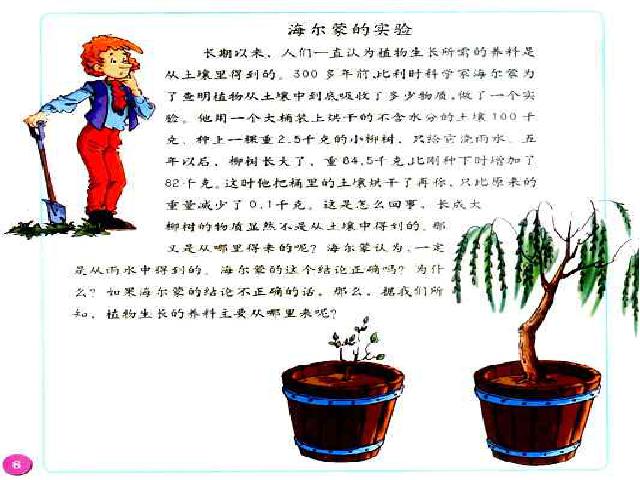 三年级上册科学科学《1.7植物有哪些相同点》(教科版)第10页