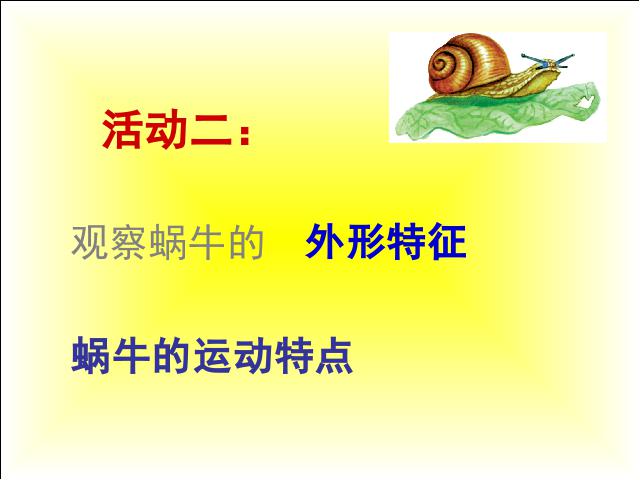 三年级上册科学科学《2.2蜗牛（一）》(教科版)第6页