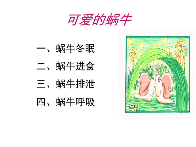 三年级上册科学科学《2.3蜗牛（二）》第1页