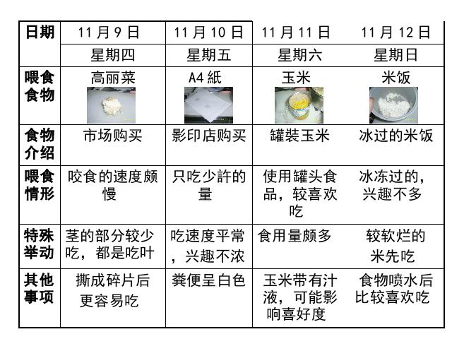 三年级上册科学科学《2.3蜗牛（二）》第10页