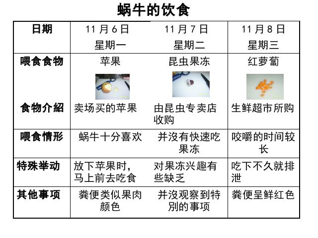 三年级上册科学科学《2.3蜗牛（二）》第9页