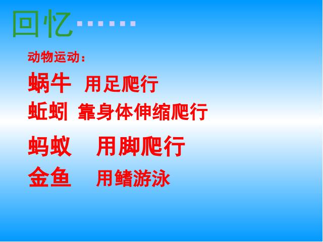 三年级上册科学教科版《2.7动物有哪些相同点》(科学)第3页