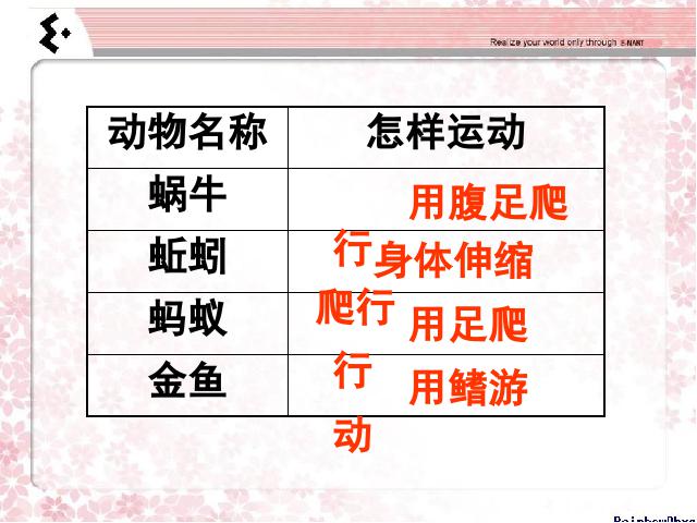 三年级上册科学科学第二单元《2.7动物有哪些相同点》（）第2页