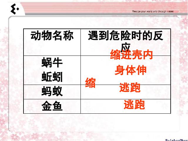 三年级上册科学科学第二单元《2.7动物有哪些相同点》（）第3页