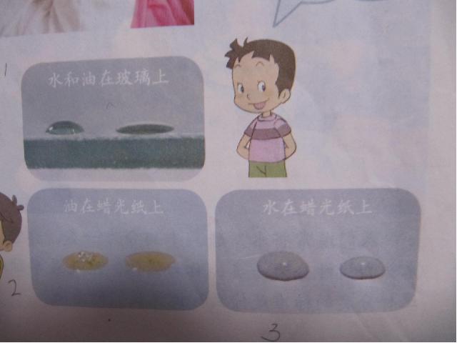 三年级上册科学科学《4.2水和食物油的比较》（）第9页