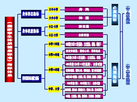 三年级上册体育与健康 3至4年级全一册体育与健康（3-4年级）第4节《国家学生体质健康标准的意义和要求》ppt课件1第5页