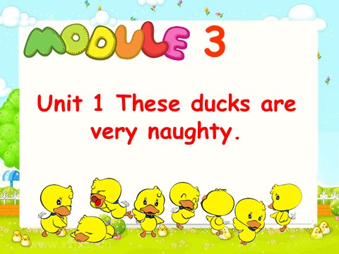 三年级上册英语（外研一起点）Module 3 Unit 1 These ducks are very naughty 课件第1页