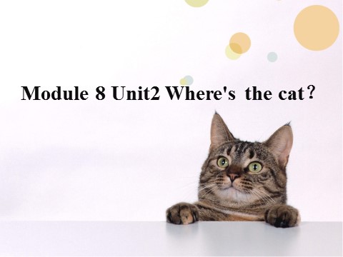 三年级上册英语（外研三起点）Module 8Unit 2 Where's the cat》PPT课件 (2)外研三年级起点三年级上册《第1页
