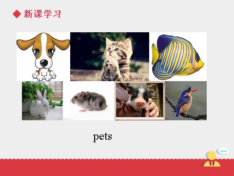 三年级上册英语（SL版）Unit+4 lesson 3《pets》课件第4页