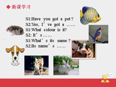 三年级上册英语（SL版）Unit+4 lesson 3《pets》课件第8页