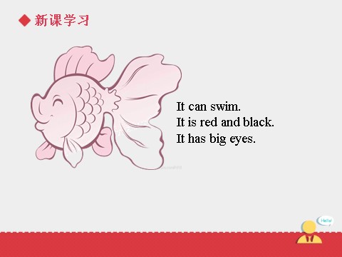 三年级上册英语（SL版）Unit+4 lesson4《pets》课件第8页