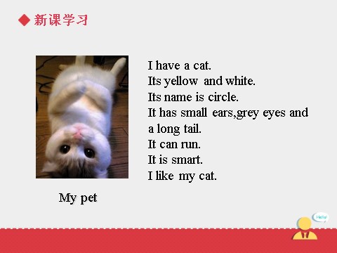 三年级上册英语（SL版）Unit+4 lesson 2《pets》课件第5页