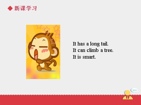 三年级上册英语（SL版）Unit+4 lesson 2《pets》课件第9页