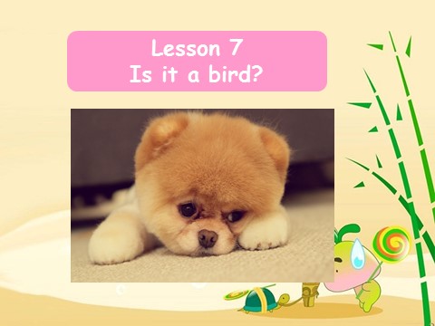 三年级上册英语（科普版）Lesson 7 Is it a bird 课件第1页