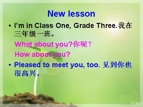 三年级下册英语（精通版）Lesson 7 课件3第2页