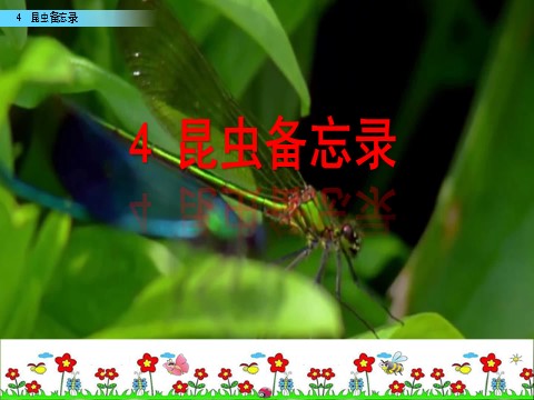 三年级下册语文（旧人教版）4 昆虫备忘录第2页